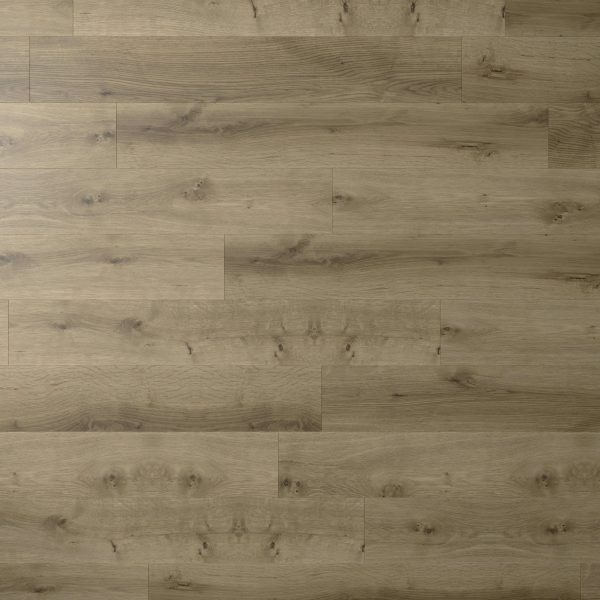 Sweet Cream Oak