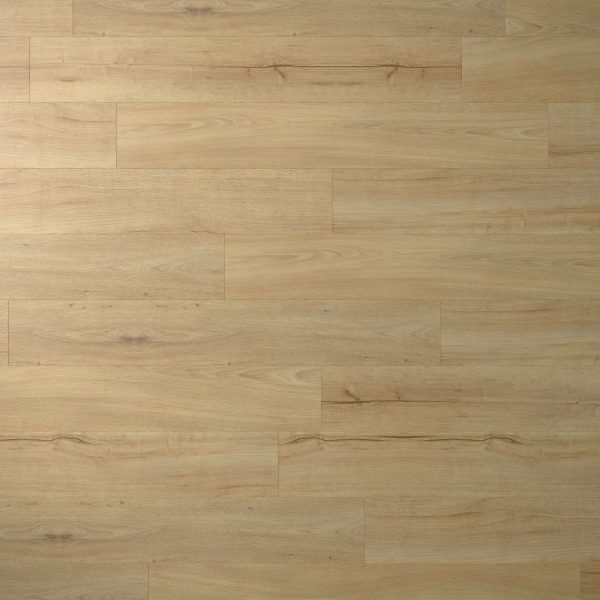 Pinnate Oak